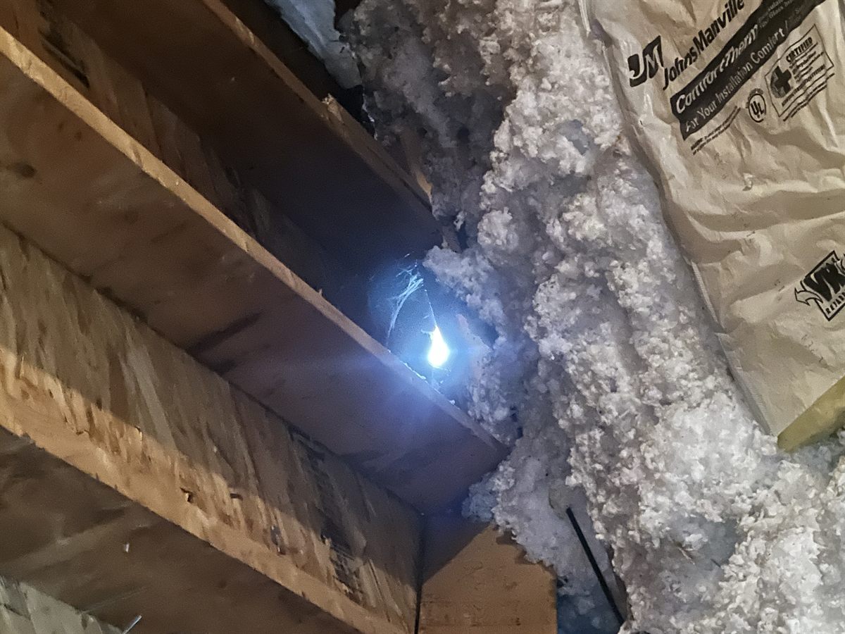 Wildlife entry point at the roofline of a Macon, GA attic — daylight gap used by squirrels, rats, and raccoons, with disturbed insulation